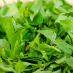 insalata verde